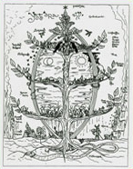 The Axis Mundi - The Shamanic Tree of Life - by Roel Crabbé